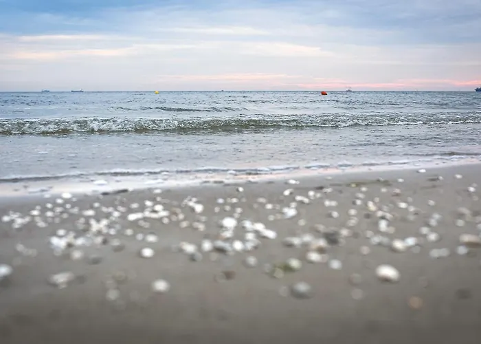 Baltycka Апарт-отель